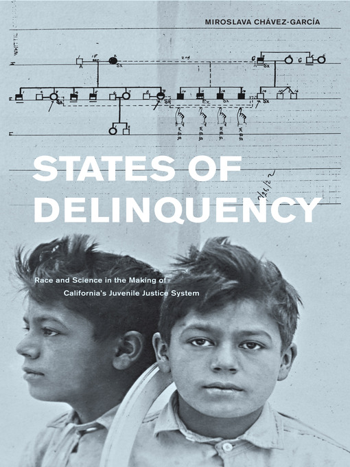 Title details for States of Delinquency by Miroslava Chavez-Garcia - Available